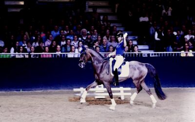 Equitana: Aubenhausen Live