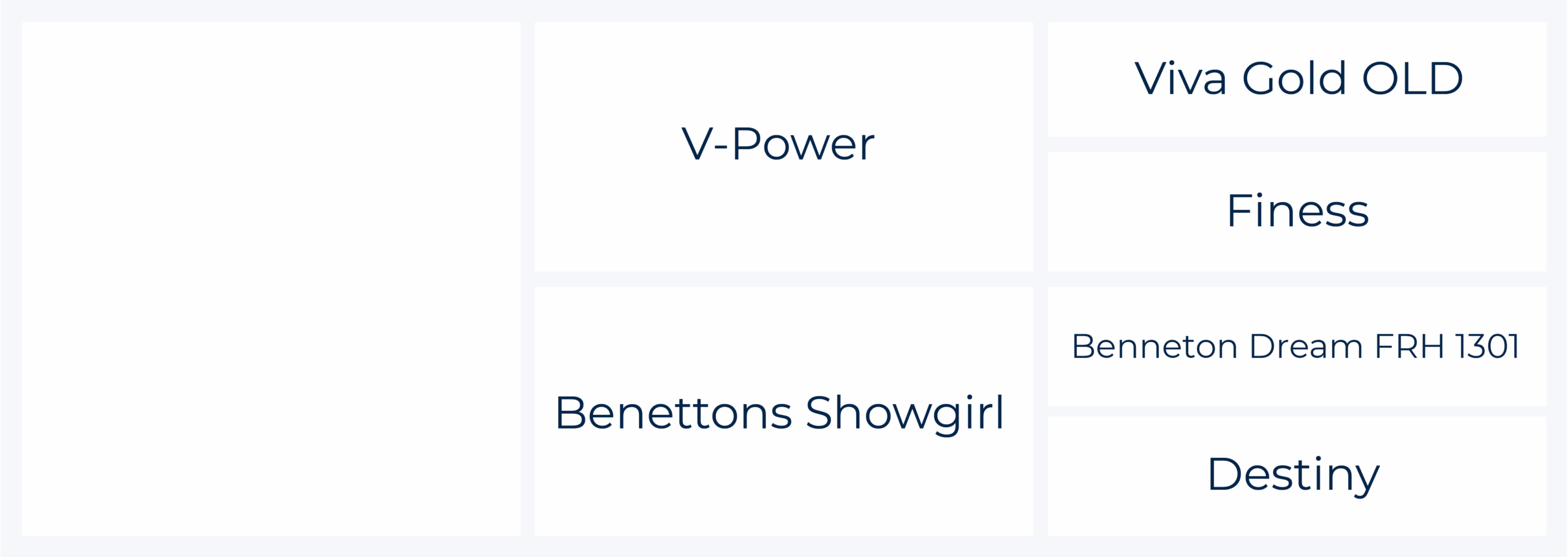 Stammbaum-Celina-Benettons-Showgirl-x-V-Power