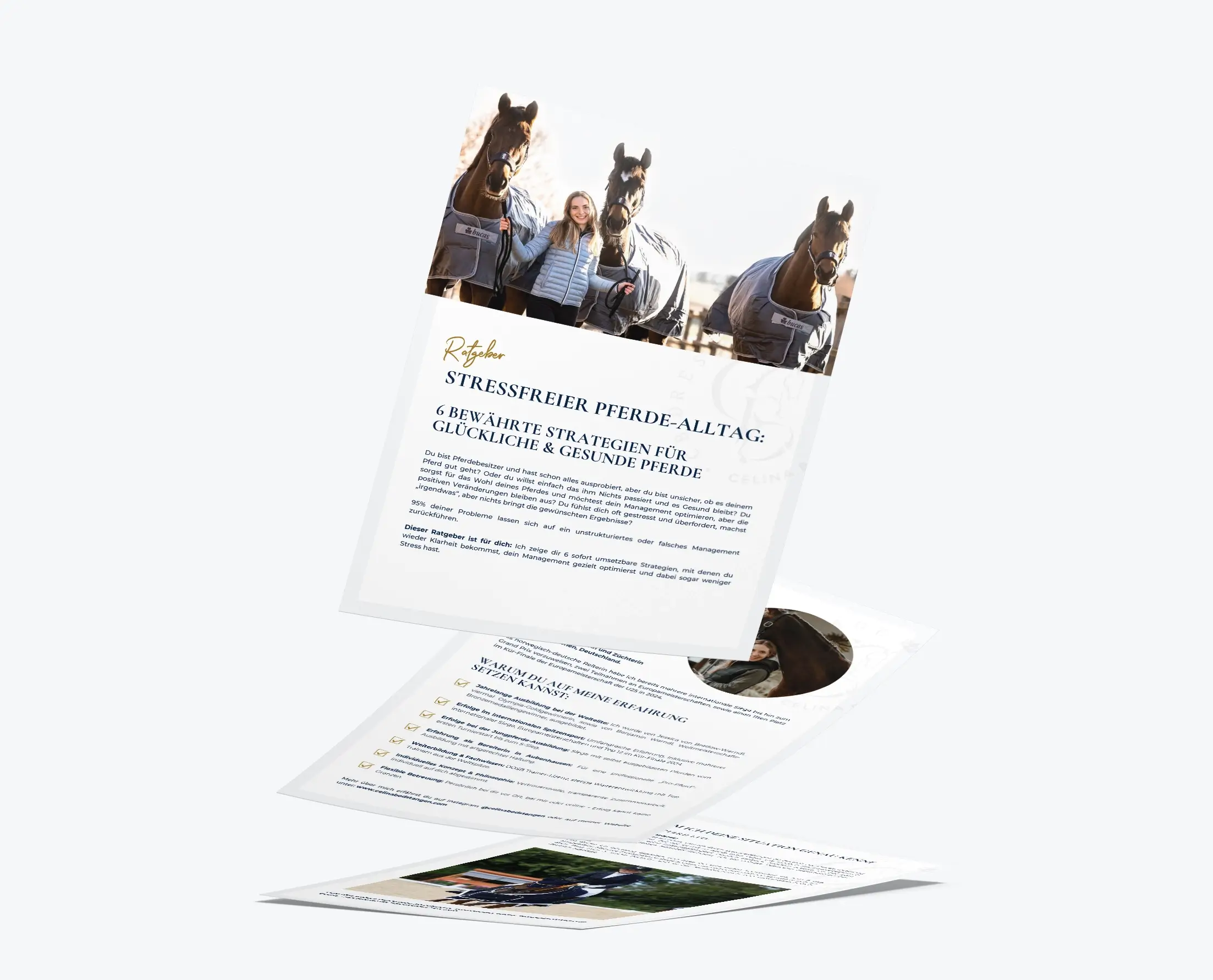 Celina-Bodstangen-Dressage-PDF-Mockup-Pferdemanagement-1 Celina-Bodstangen-Dressage-PDF-Mockup-Pferdemanagement-1
