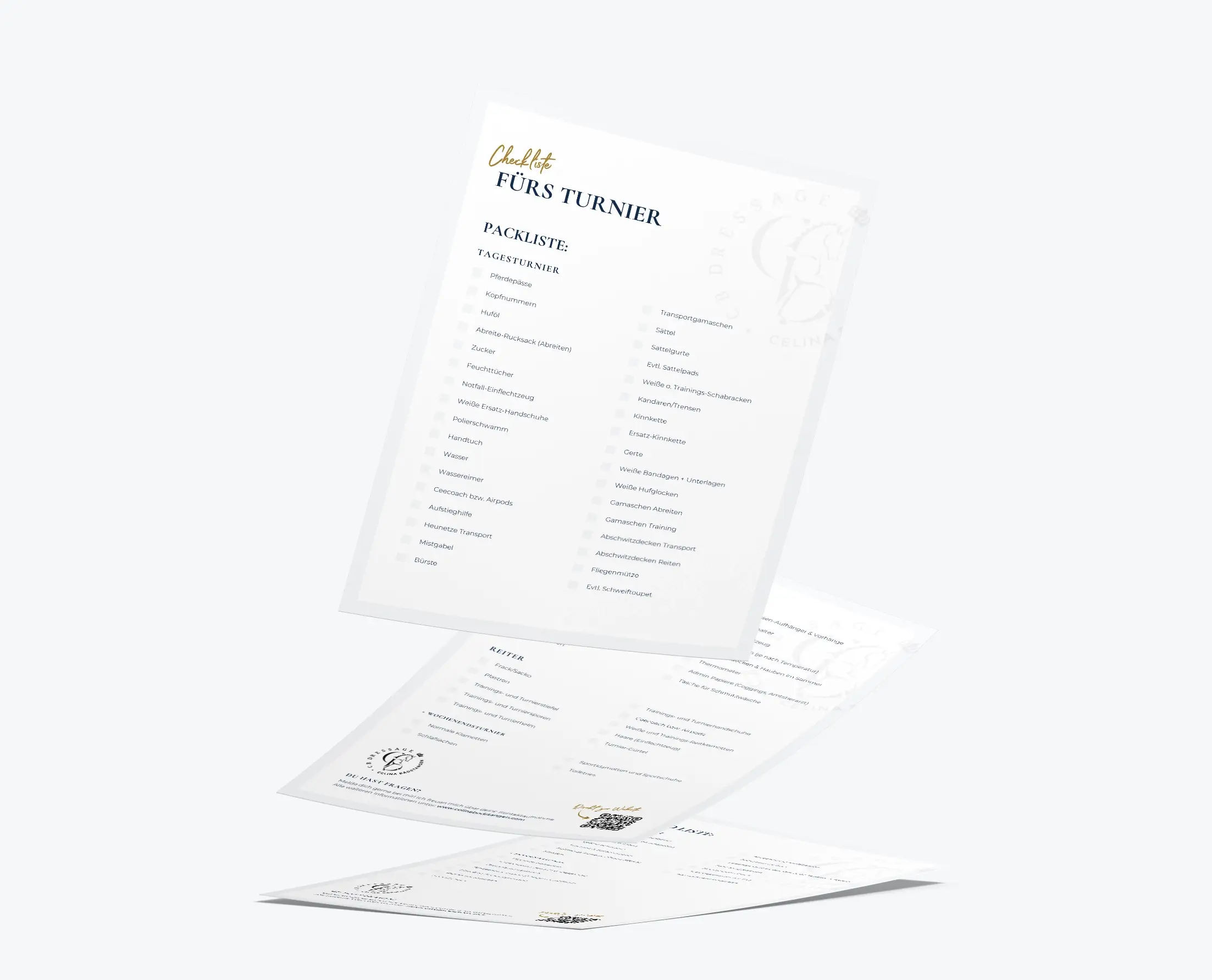 Celina-Bodstangen-Dressage-PDF-Mockup-Turnierpliste Celina-Bodstangen-Dressage-PDF-Mockup-Turnierpliste