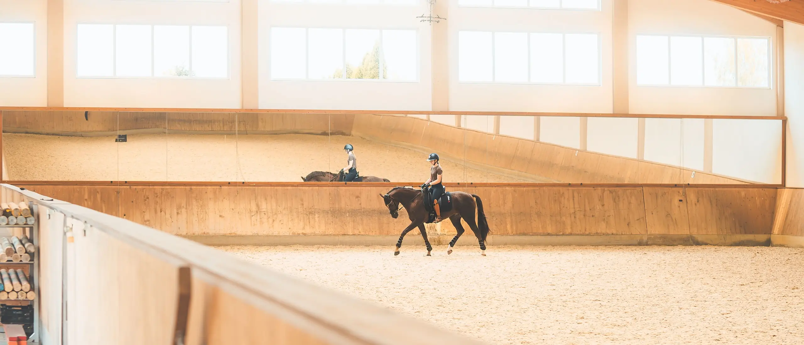 Celina-Bodstangen-Dressage-Dressurreiterin-Reitunterricht-Pferdetraining-Reitstunde-München-Bayern