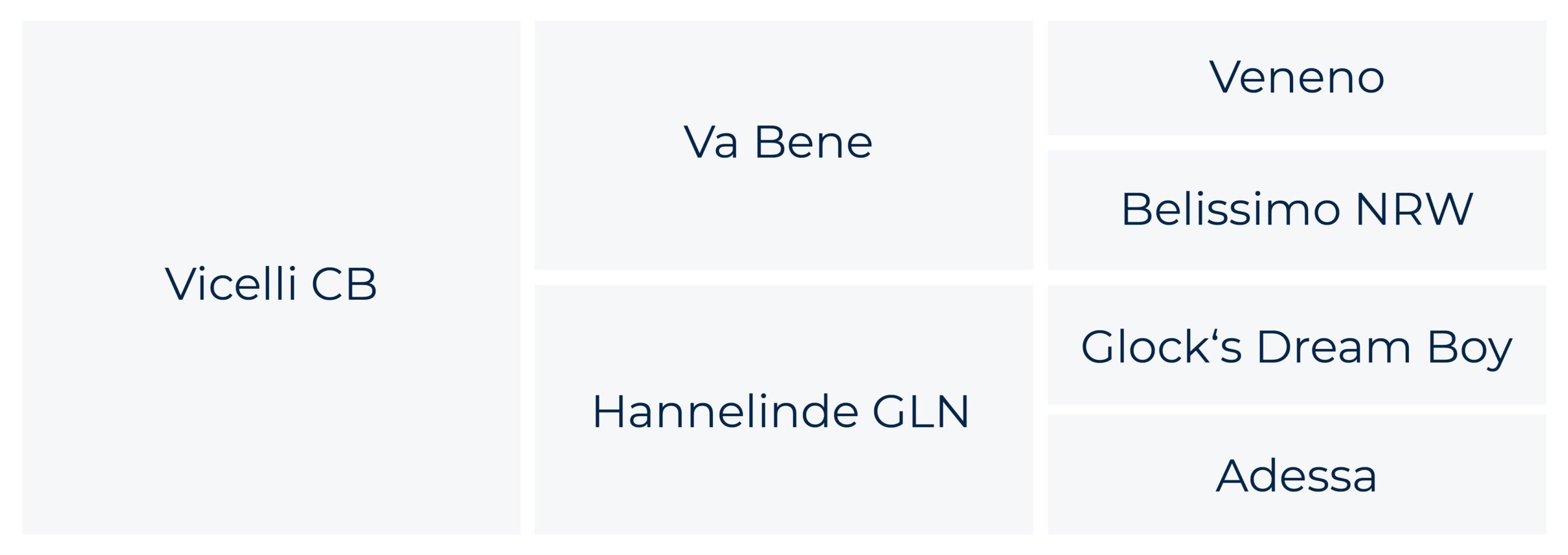Celina-Bodstangen-Stammbaum-Zucht-Vicelli