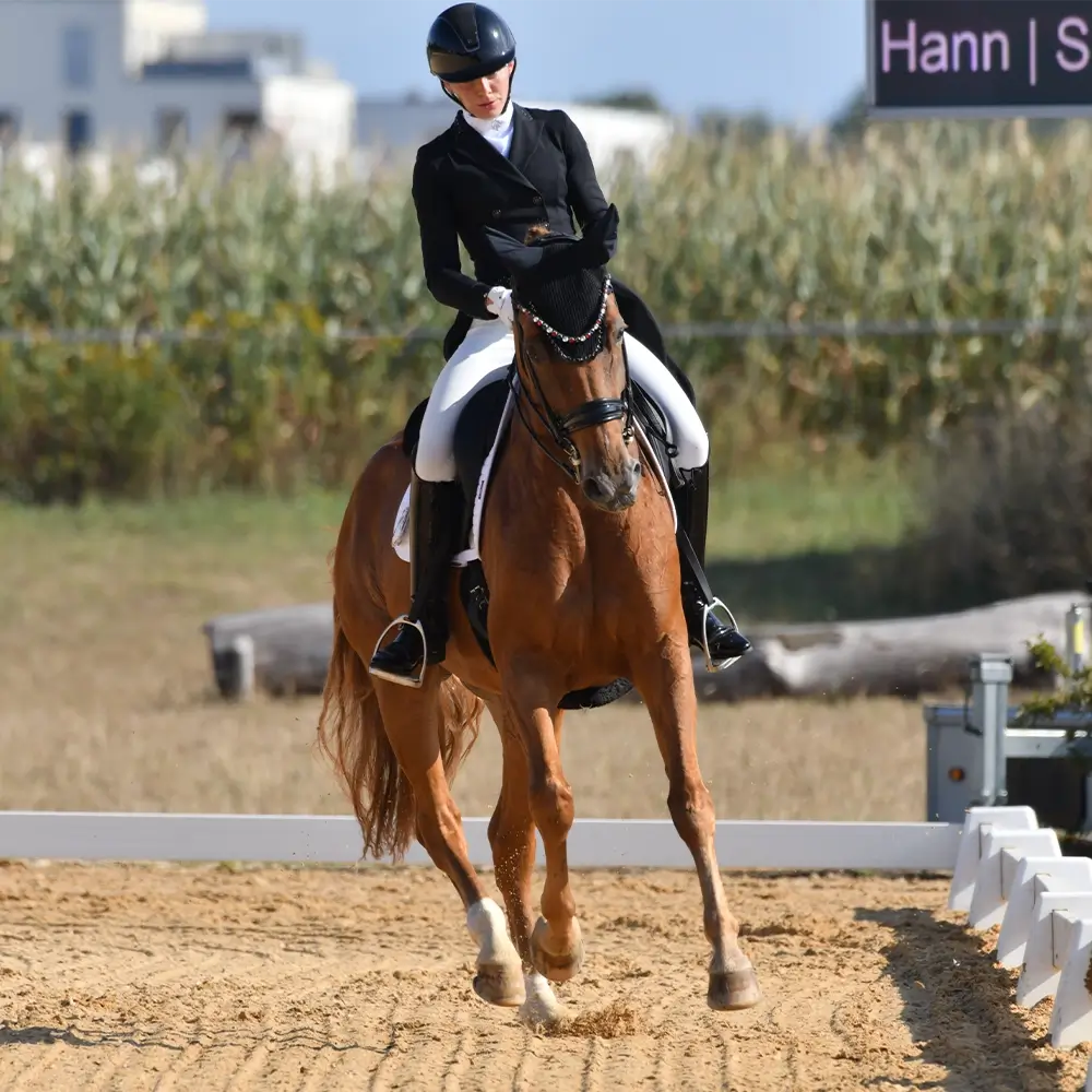 Celina-Badstangen-Dressurreiterin-Pferd-Felicity-Romance